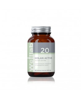 БАД для желчевыделительной системы Welllab HOLAN ACTIVE, 60 капсул